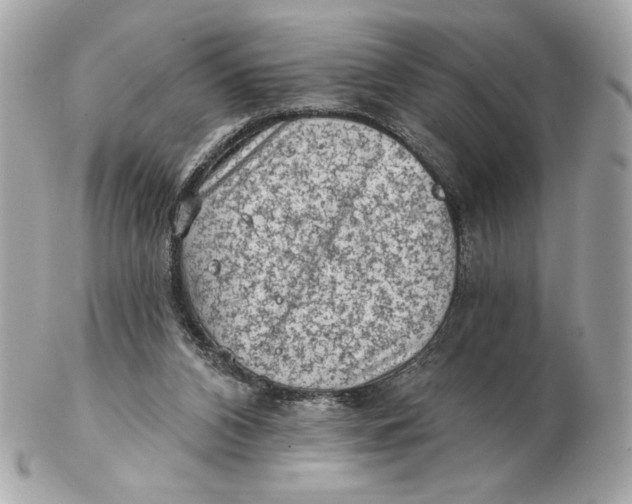 X0000102460112200808291550
