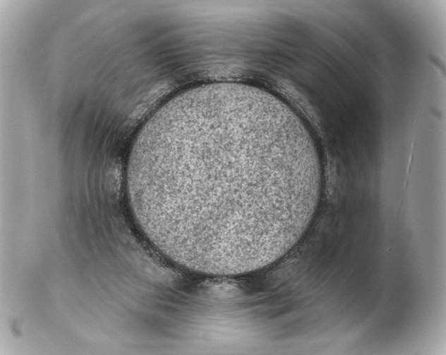 X0000102460113200808291550