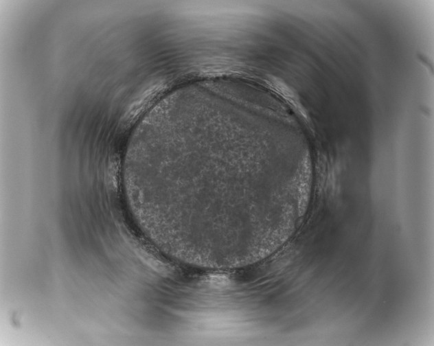 X0000102460114200808291550