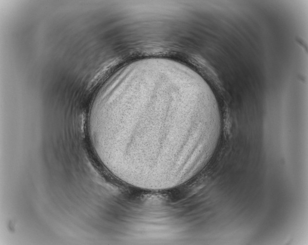X0000102460115200808291550