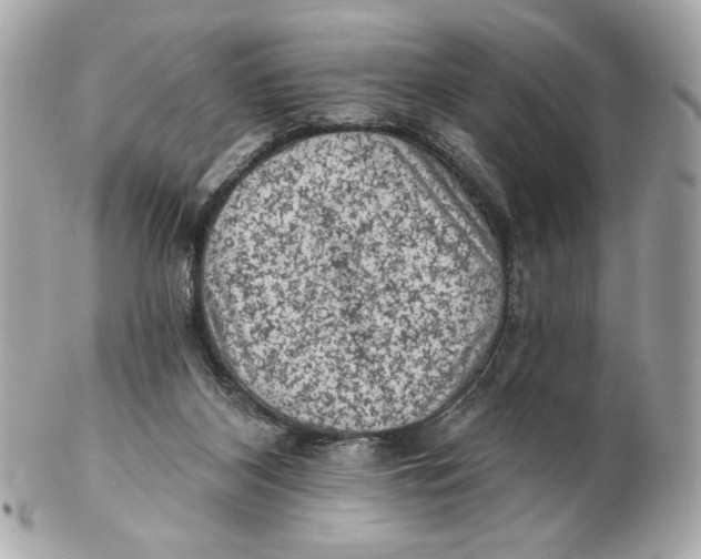 X0000102460116200808291550