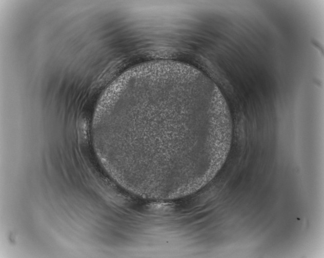 X0000102460117200808291550