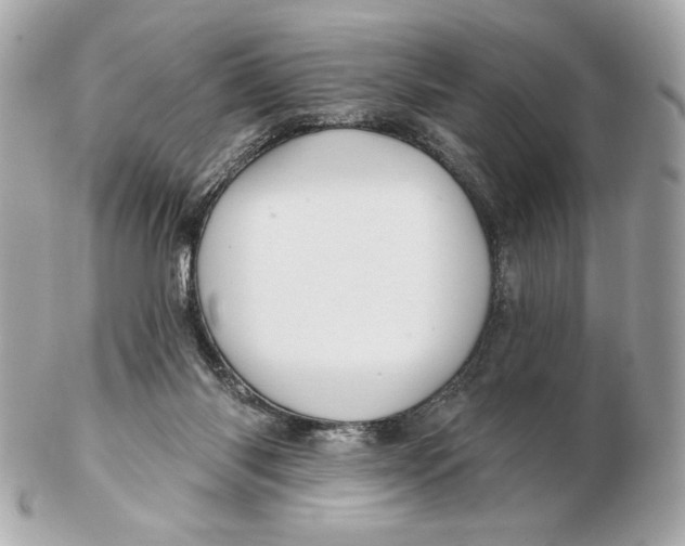 X0000102460118200808291550