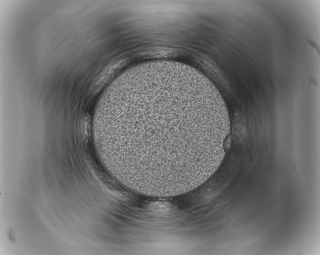 X0000102460119200808291550
