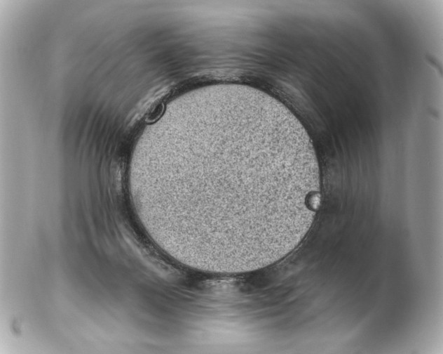 X0000102460120200808291550