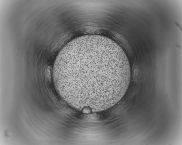X0000102460121200808291550