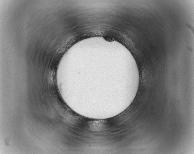 X0000102460122200808291550