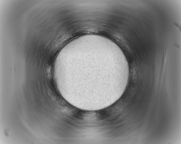 X0000102460123200808291550