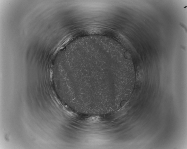 X0000102460124200808291550