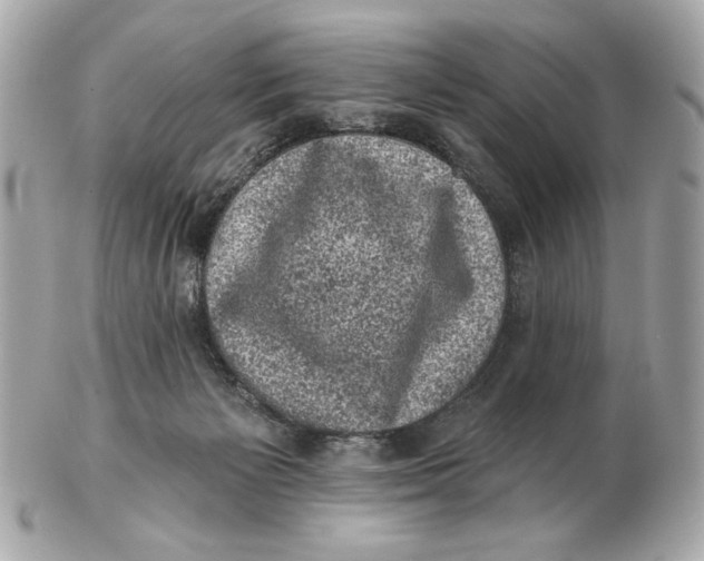 X0000102460125200808291550