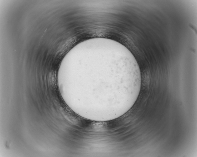 X0000102460126200808291550