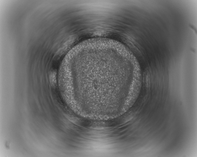 X0000102460127200808291550