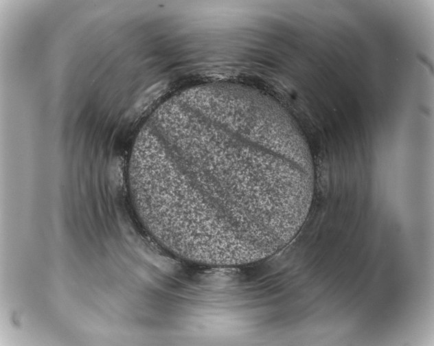 X0000102460128200808291550