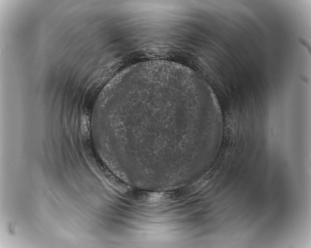 X0000102460130200808291550