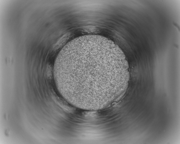 X0000102460132200808291550