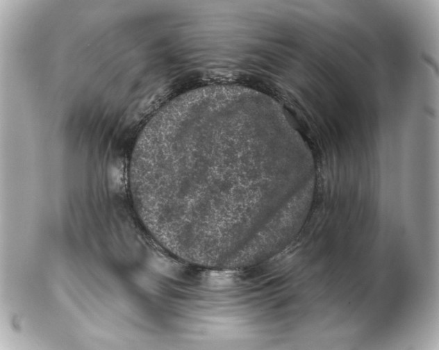 X0000102460134200808291550