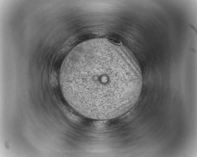 X0000102460136200808291550