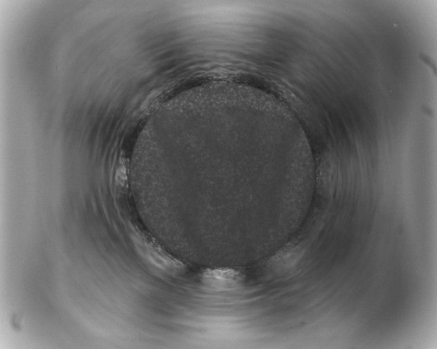 X0000102460137200808291550
