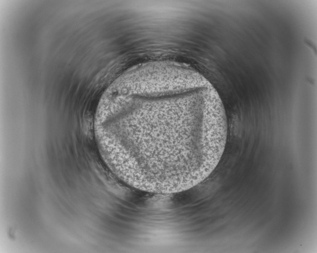 X0000102460138200808291550