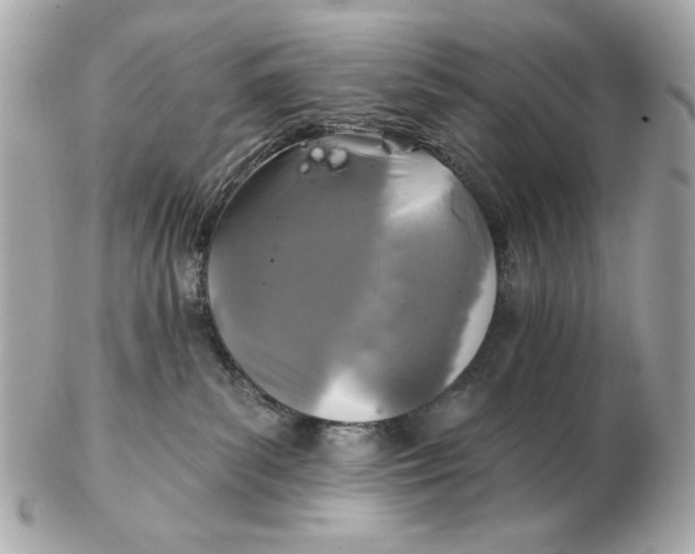 X0000102460139200808291550