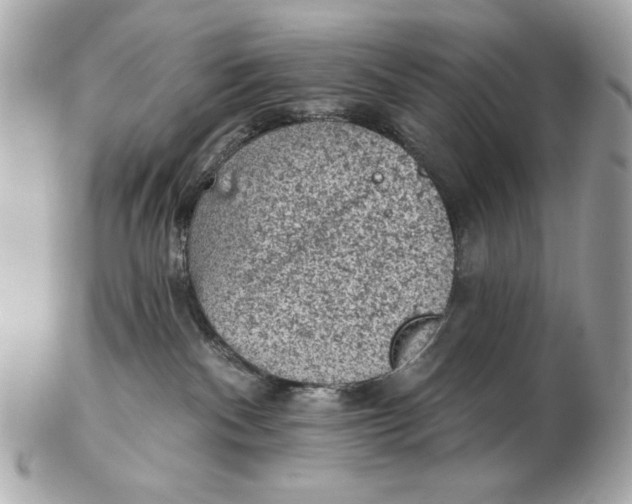 X0000102460140200808291550