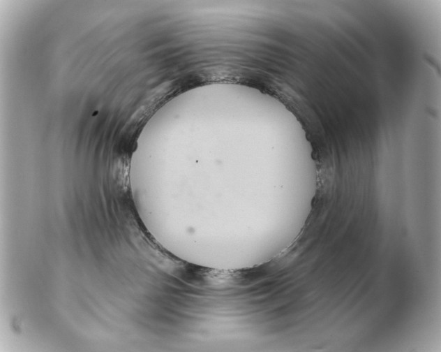 X0000102460142200808291550