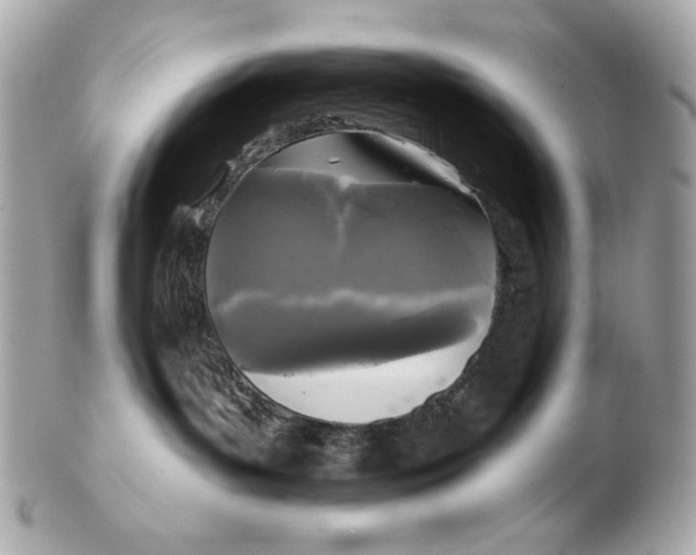 X0000102460143200808291550
