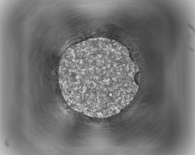 X0000102460144200808291550