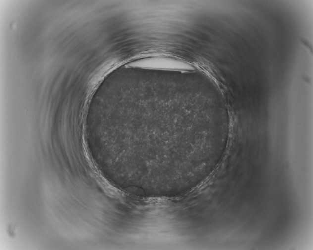 X0000102460145200808291549