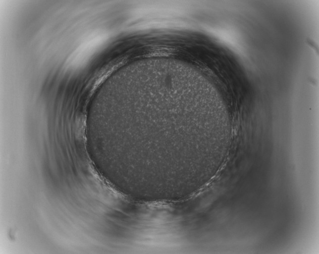 X0000102460146200808291549