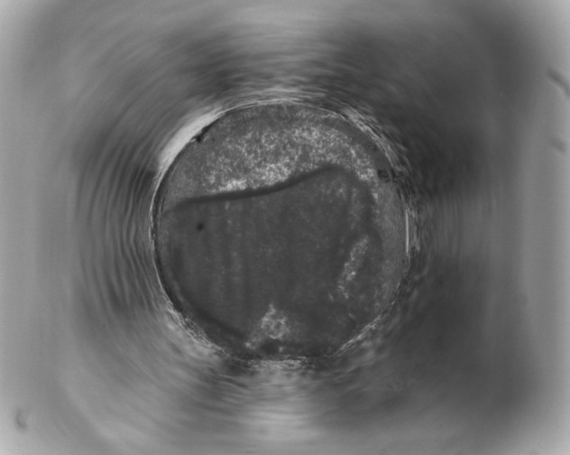 X0000102460147200808291549
