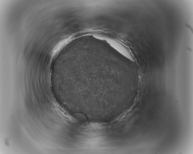 X0000102460149200808291549