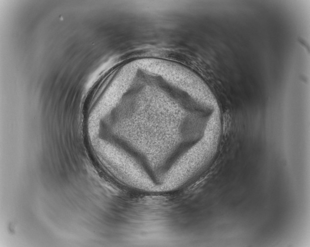 X0000102460150200808291549