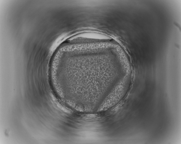 X0000102460151200808291549