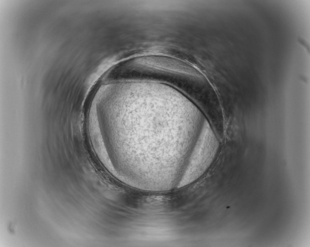 X0000102460152200808291549