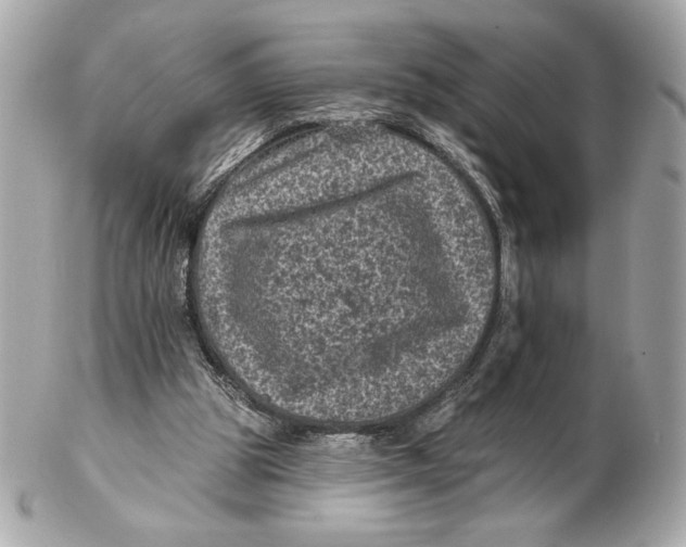 X0000102460153200808291549