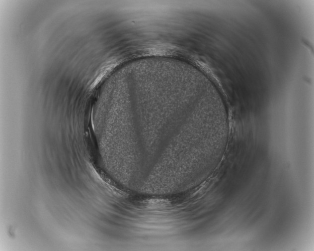 X0000102460154200808291549