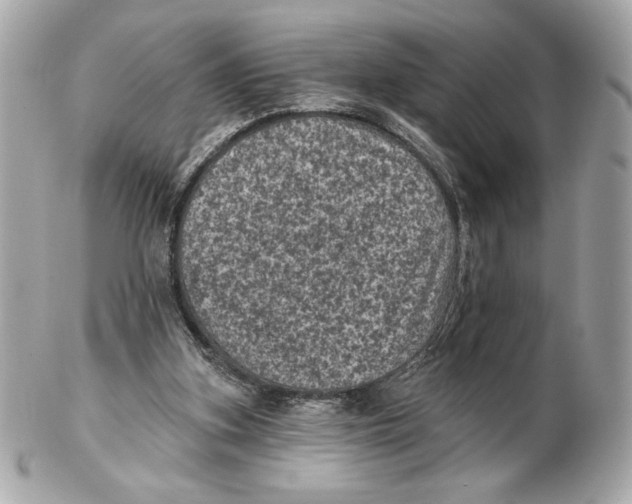 X0000102460155200808291549