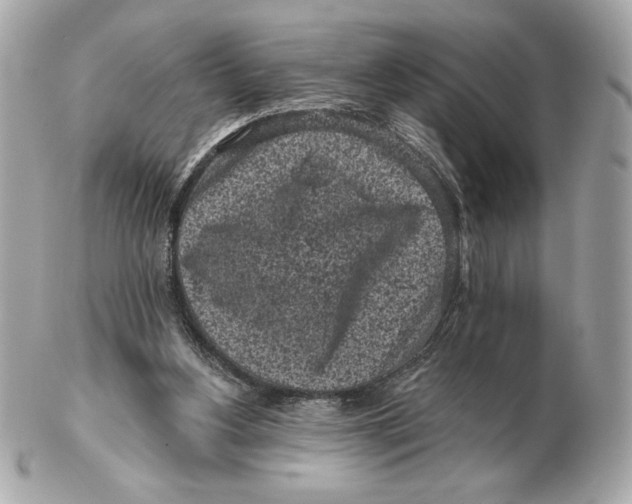 X0000102460156200808291549