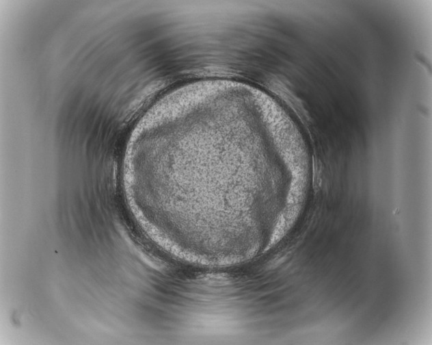 X0000102460157200808291549