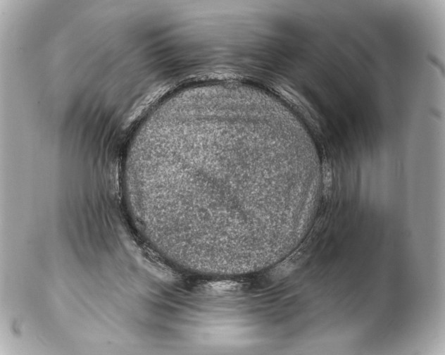 X0000102460158200808291549