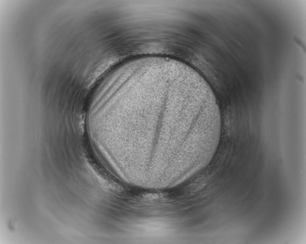 X0000102460160200808291550