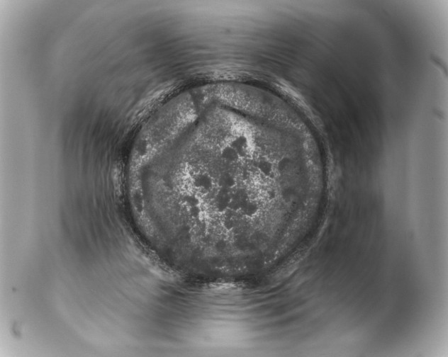 X0000102460161200808291550