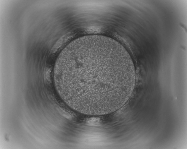 X0000102460162200808291550