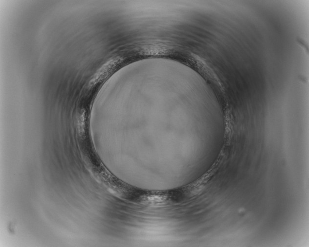 X0000102460163200808291550