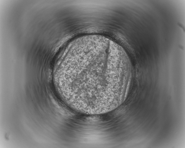 X0000102460164200808291550