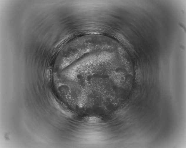 X0000102460165200808291550