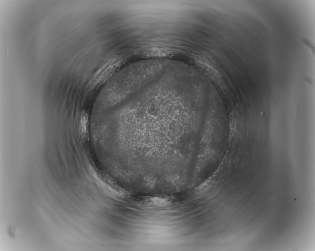X0000102460166200808291550