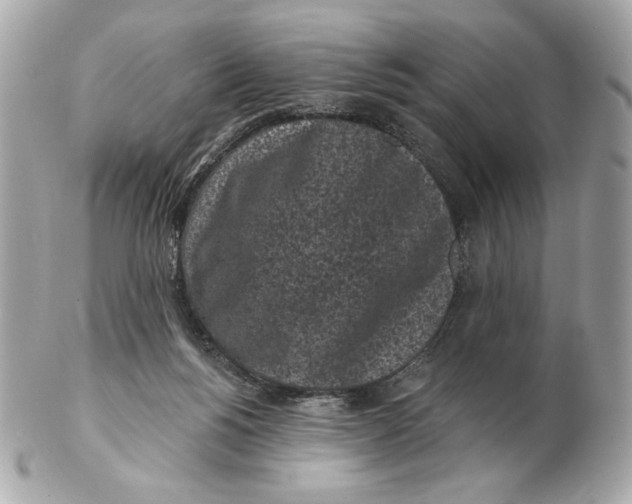 X0000102460168200808291550