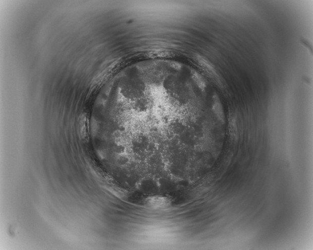 X0000102460169200808291550